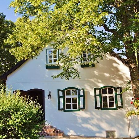 Landsitz Oberhof Petit Hotel Muggendorf  Kültér fotó