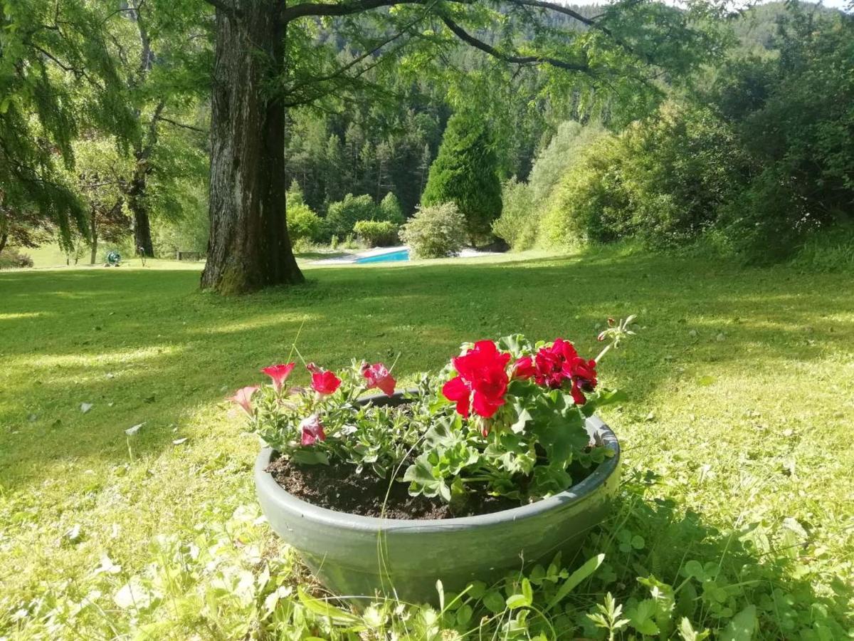 Landsitz Oberhof Petit Hotel Muggendorf  Kültér fotó